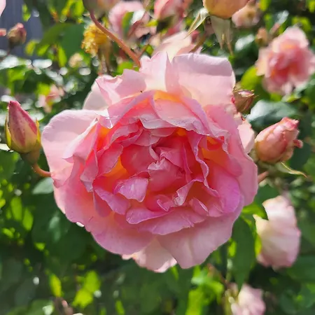 Prázdninový dům Le Guitou De *